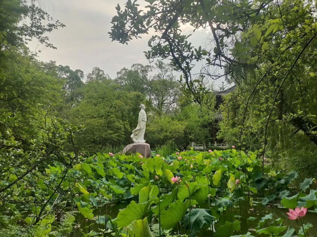 從李白故里出發(fā)，乘長風(fēng)、赴萬里！